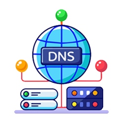 DNS Lookup
