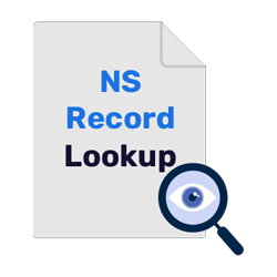 NS Record Checker