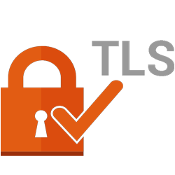 TLS Version Checker